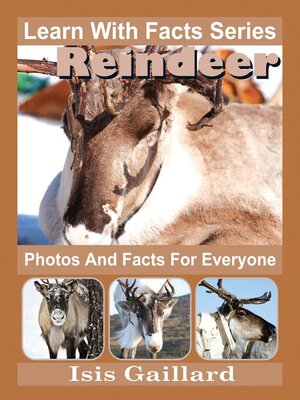 cover image of Reindeer Photos and Facts for Everyone